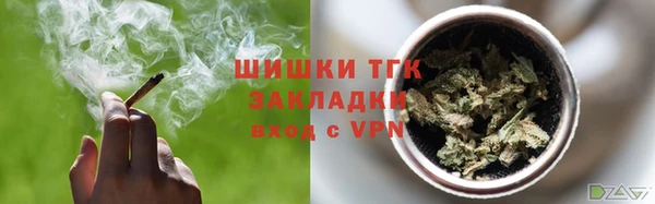 ПСИЛОЦИБИНОВЫЕ ГРИБЫ Медвежьегорск