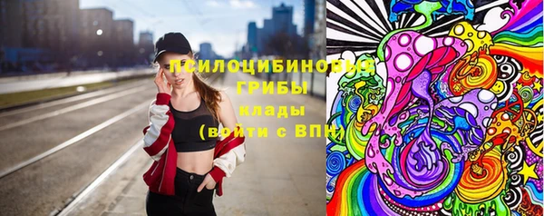 ПСИЛОЦИБИНОВЫЕ ГРИБЫ Медвежьегорск