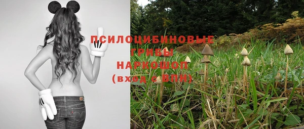 mdpv Медногорск