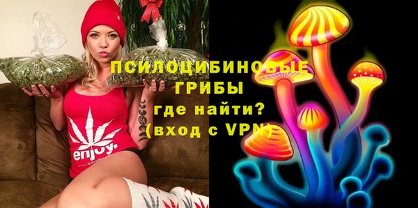 ПСИЛОЦИБИНОВЫЕ ГРИБЫ Медвежьегорск
