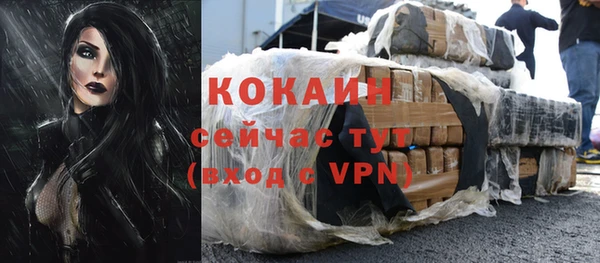 винт Майский