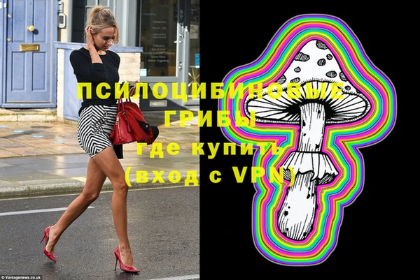 ПСИЛОЦИБИНОВЫЕ ГРИБЫ Медвежьегорск