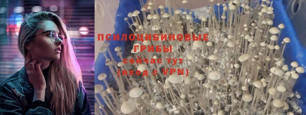 ПСИЛОЦИБИНОВЫЕ ГРИБЫ Медвежьегорск